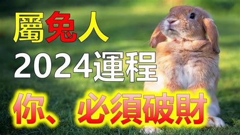 紅磡屬於邊區 2024年兔